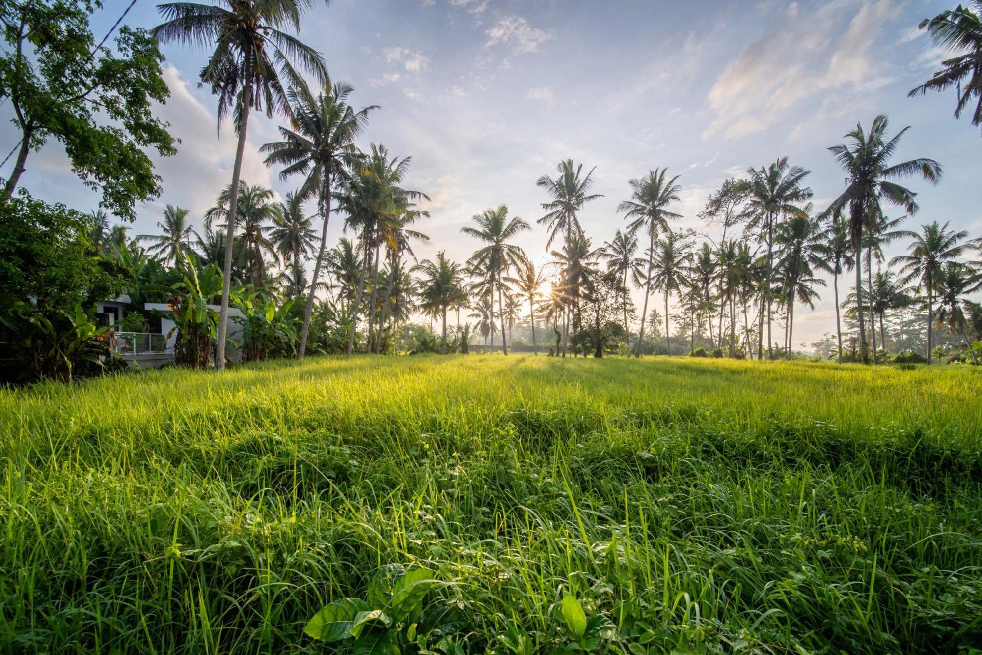 Casa Estrella - Luxe In Ubud